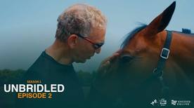 Unbridled