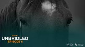 Unbridled