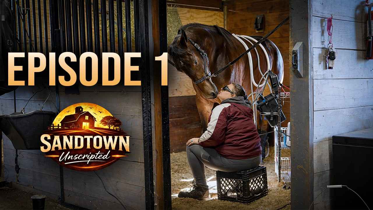 Sandtown Unscripted