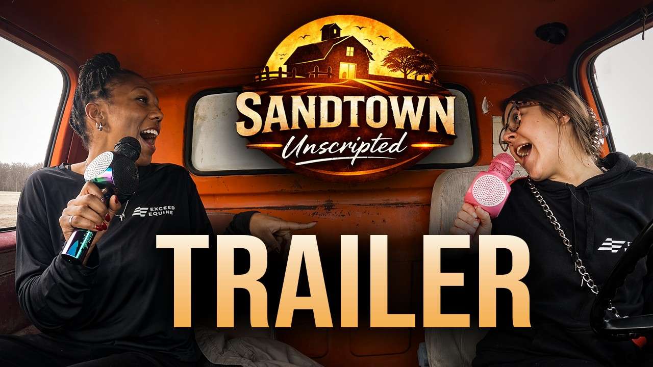Sandtown video poster