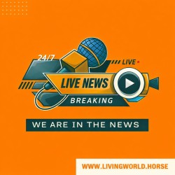 He's betting on transforming harness racing